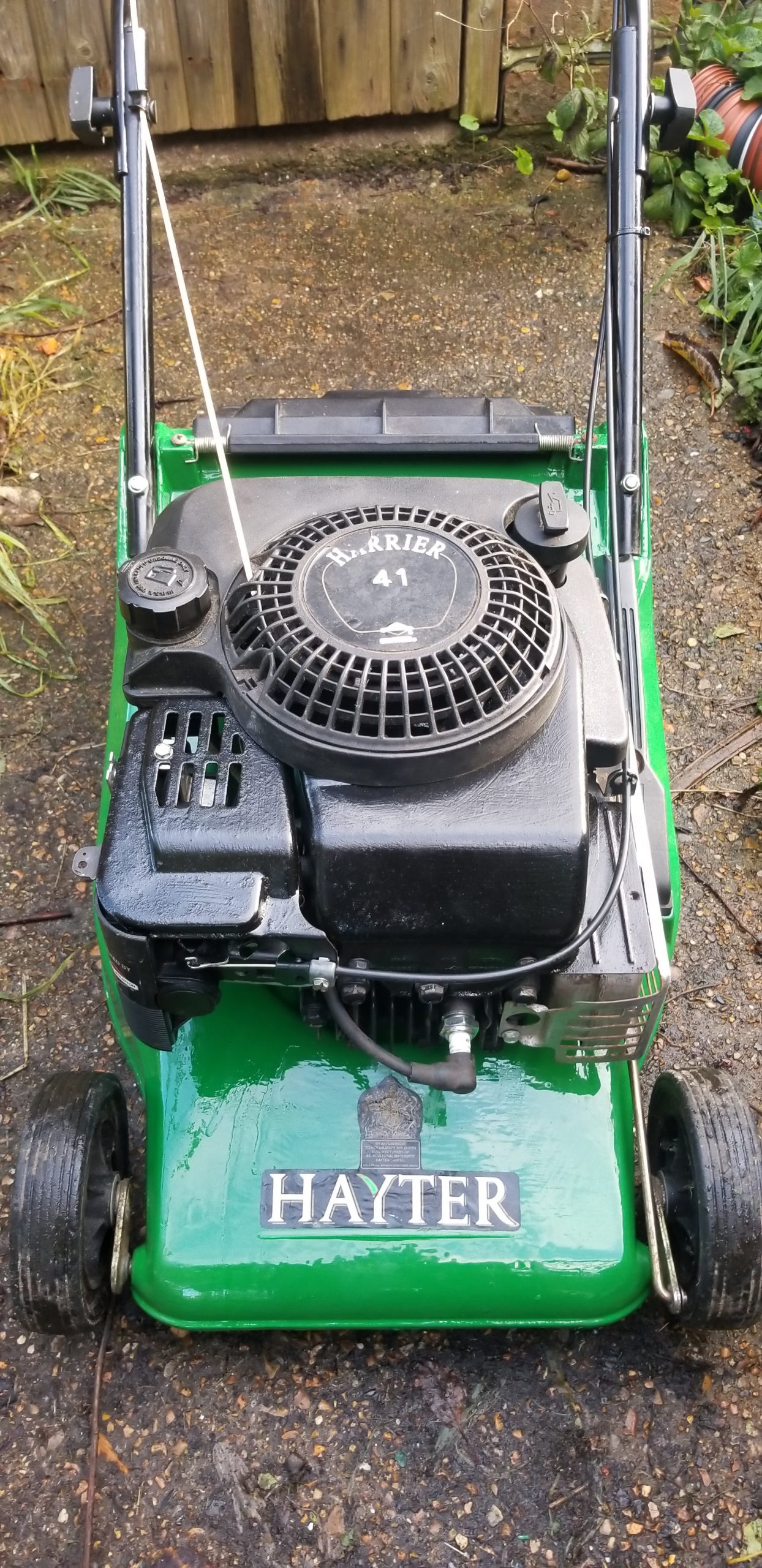 Hayter Harrier 41 Push Petrol Lawn Mower with Grass Box Mendy Mowers